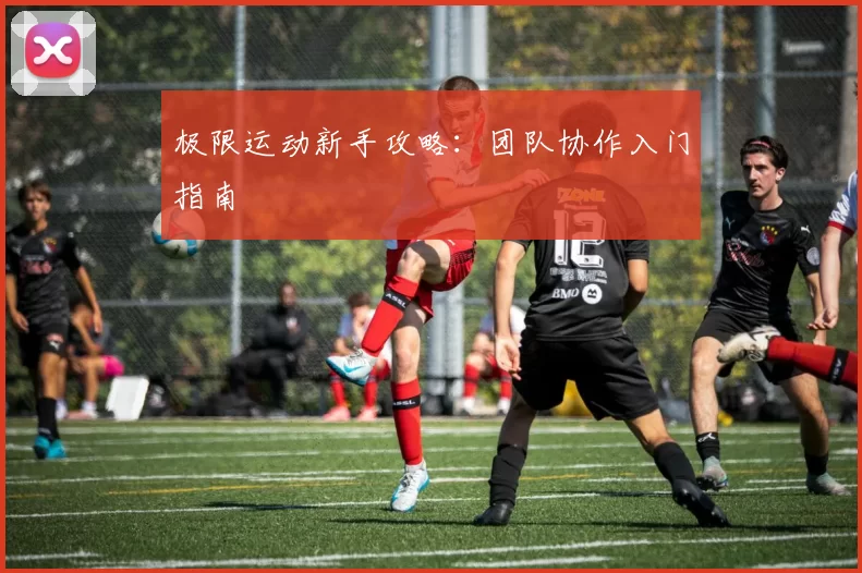 极限运动新手攻略：团队协作入门指南