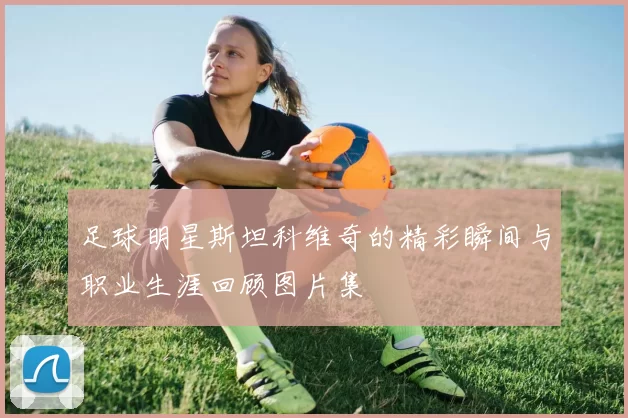 足球明星斯坦科维奇的精彩瞬间与职业生涯回顾图片集
