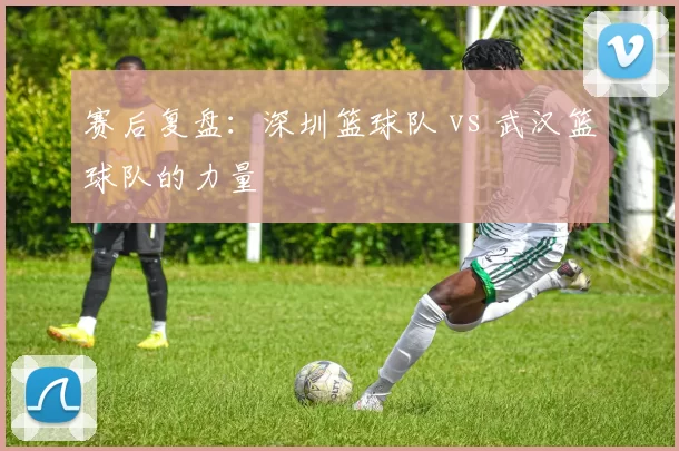 赛后复盘：深圳篮球队 vs 武汉篮球队的力量