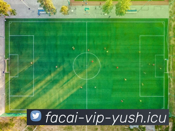 开云体育APP 封面图